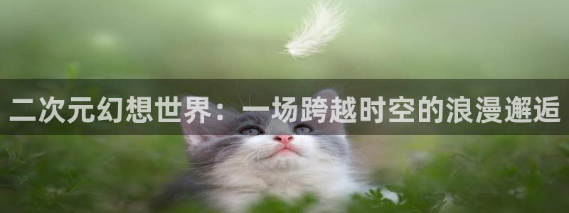 58动漫网,动漫：二次元幻想世界：一场跨越时空的浪漫邂逅