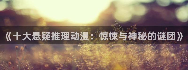 58动漫官网：《十大悬疑推理动漫：惊悚与神秘的谜团》