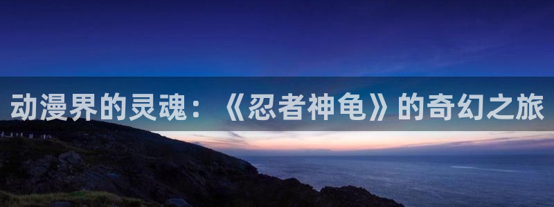 58动漫网站官网免费下载：动漫界的灵魂：《忍者神龟》的奇幻之旅